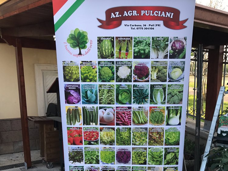 Roll-up Pulciani