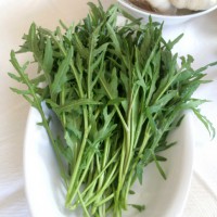 RUCOLA