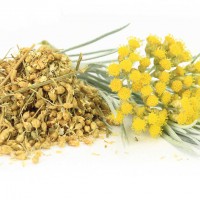 ACHILLEA