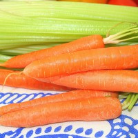 CAROTA CHANTENAY