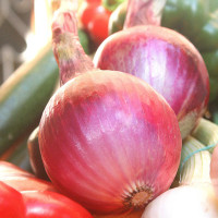 CIPOLLA TONDA DI TROPEA