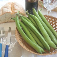 FAVA SUPERSIMONIA