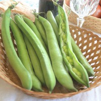 FAVA SUPERSIMONIA