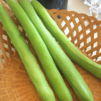 FAVA SUPERSIMONIA