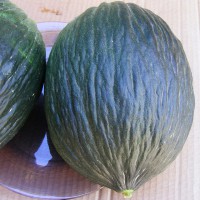MELONE TENDRAL VERDE
