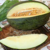 MELONE PIEL DE SAPO