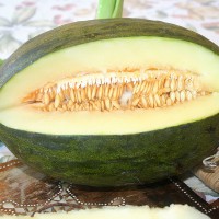 MELONE PIEL DE SAPO