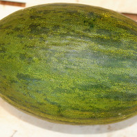 MELONE PIEL DE SAPO