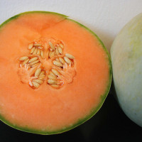 MELONE LISCIO YAGO F1