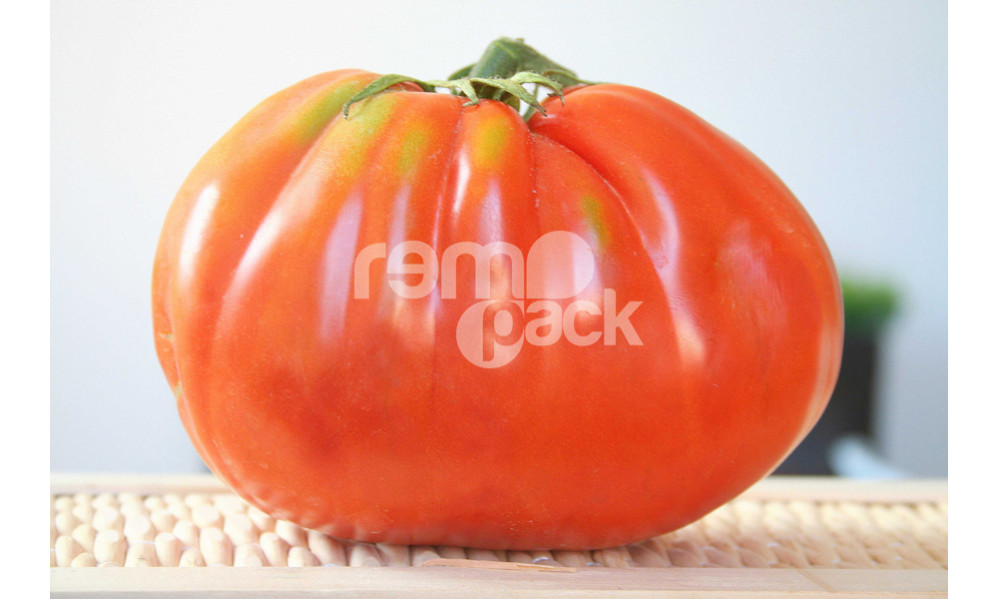 POMODORO AMERICA