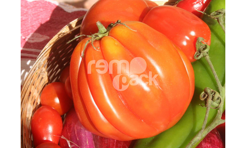 POMODORO CANESTRINO PERA D'ABRUZZO F1