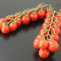 POMODORO CILIEGIA F1