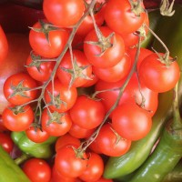 POMODORO CILIEGIA RED BUNCH F1