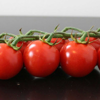 POMODORO CILIEGIA F1