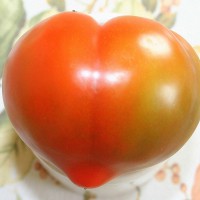 POMODORO A CUORE