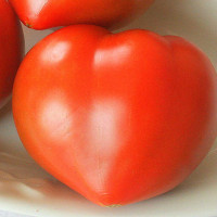 POMODORO A CUORE