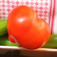 POMODORO A CUORE