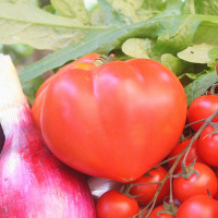 POMODORO A CUORE