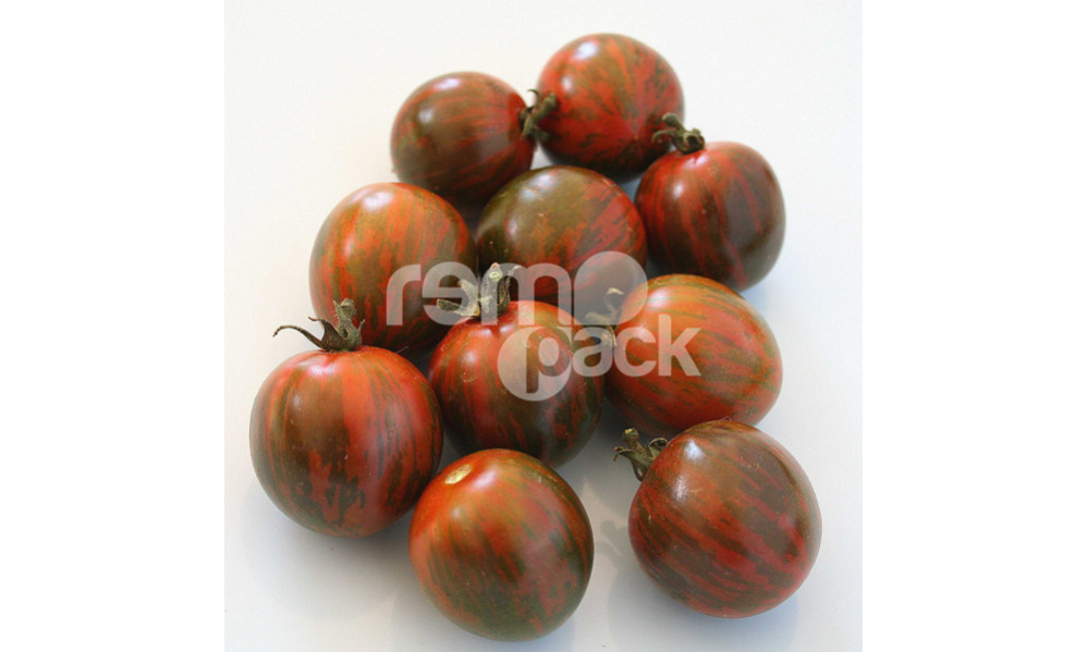 POMODORO OVALE ZEBRINO F1