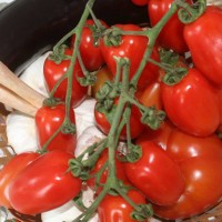 POMODORO PICCADILLY