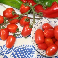 POMODORO VESUVIANO