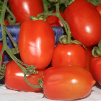 POMODORO VESUVIANO