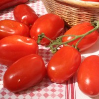 POMODORO VESUVIANO