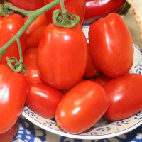 POMODORO PICCADILLY