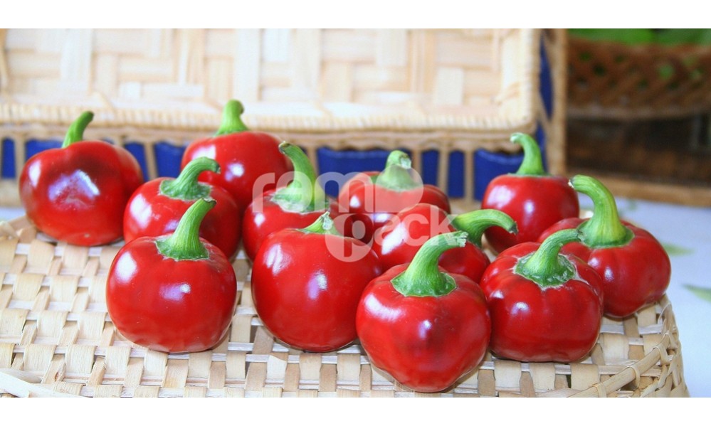 PEPERONCINO TONDO CILIEGIA