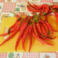 PEPERONCINO CAYENNA LUNGO