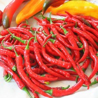 PEPERONCINO CAYENNA LUNGO F1