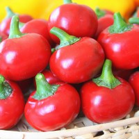 PEPERONCINO CHERRY SMALL F1