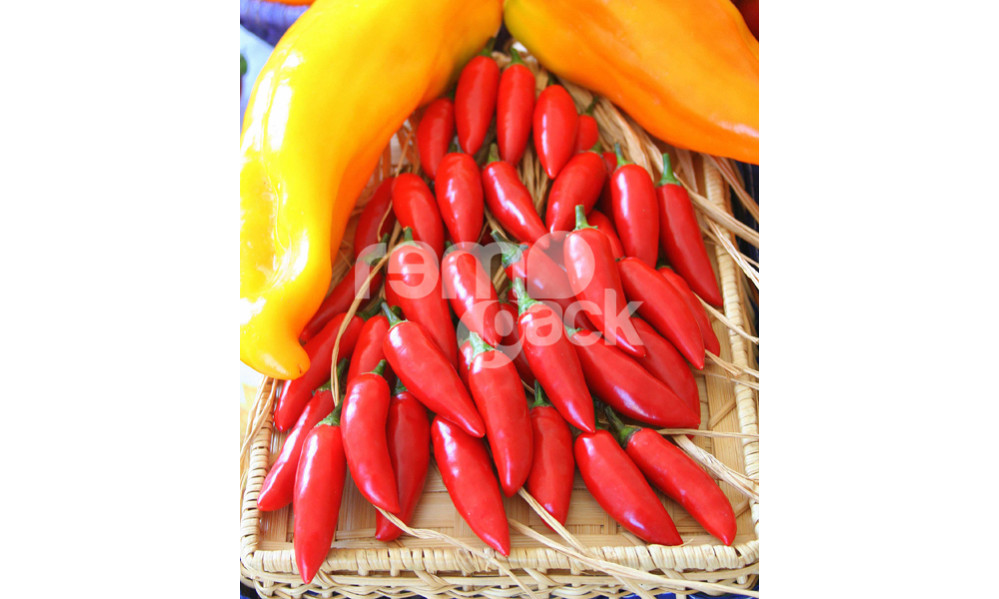 PEPERONCINO CAYENNA CORTO