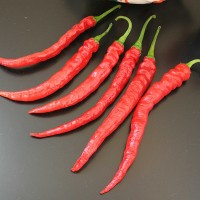 PEPERONCINO CAYENNA LUNGO