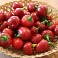PEPERONCINO RED CHERRY SMALL F1