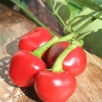 PEPERONCINO BACIO DI SATANA