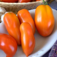 POMODORO SAN MARZANO RIBELLE DA PALO