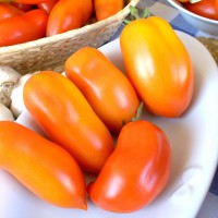 POMODORO SAN MARZANO RIBELLE DA PALO