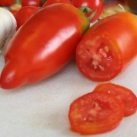 POMODORO SAN MARZANO CIRANO F1