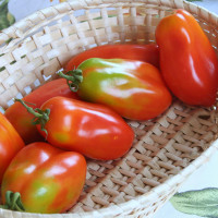 POMODORO SAN MARZANO SCATOLONE