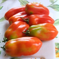 POMODORO SAN MARZANO SCATOLONE