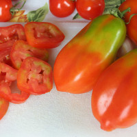 POMODORO SAN MARZANO SCATOLONE