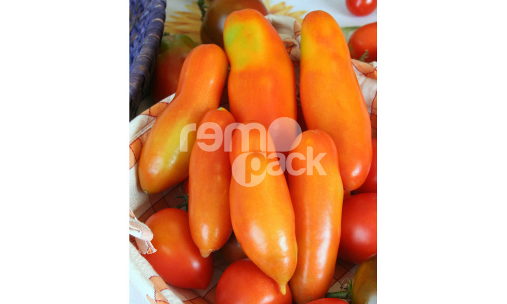 POMODORO SAN MARZANO GOLIA F1