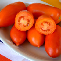 POMODORO SAN MARZANO F1