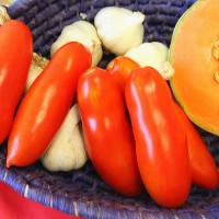 POMODORO SAN MARZANO MARZANROSSO