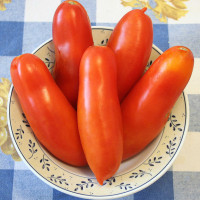 POMODORO SAN MARZANO MARZANROSSO