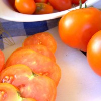 POMODORO TONDO LISCIO F1