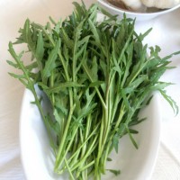 RUCOLA SELVATICA