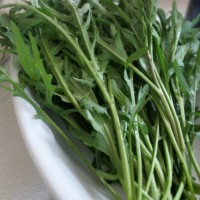 RUCOLA SELVATICA