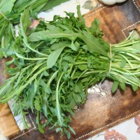 RUCOLA SELVATICA